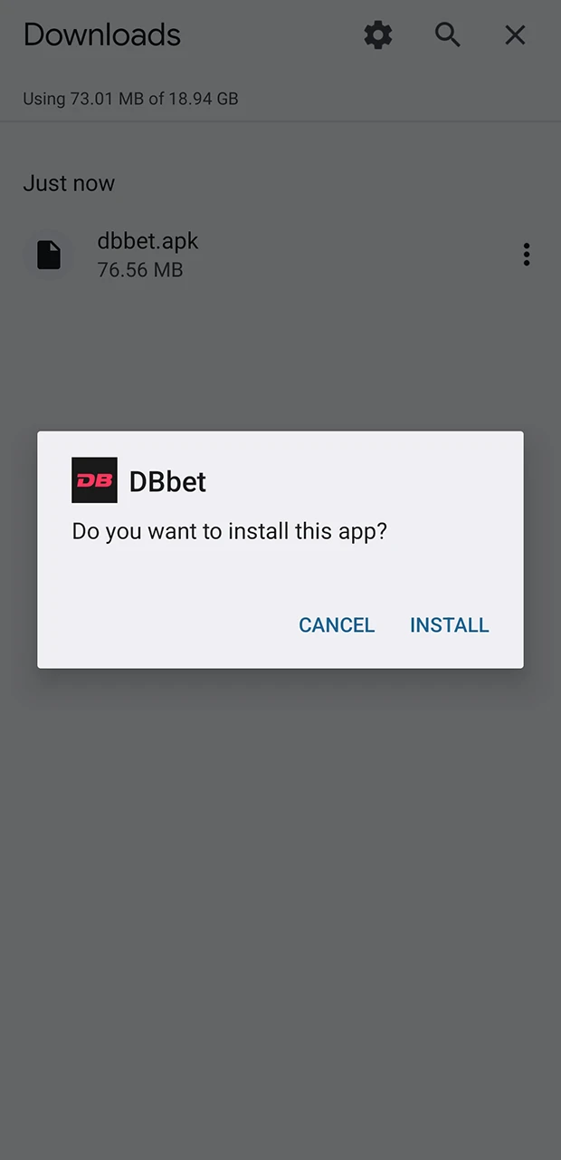 Start installing the DBbet application and wait until it is complete.